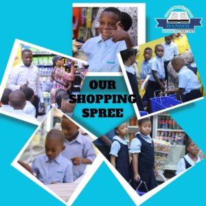 dansolschools2_1716395786737